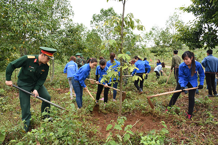 hoat dong doan thanh nien 12