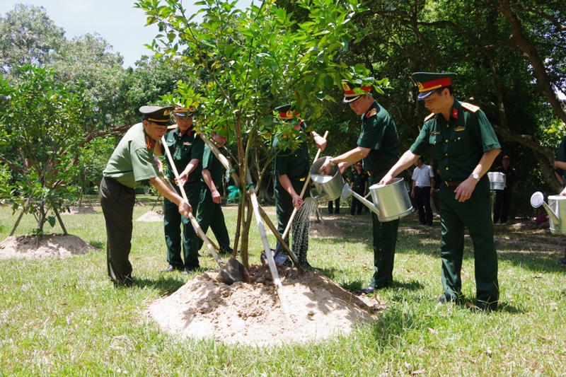 tri an mien trung trong cay kim lien