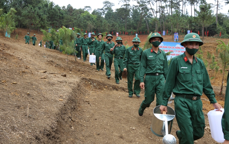 Chum anh trong cay 12