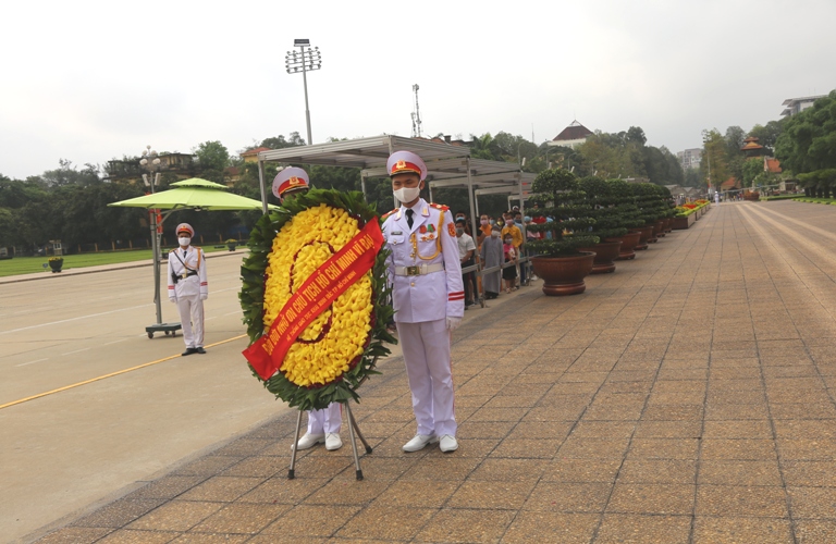 chum anh vong hoa 1