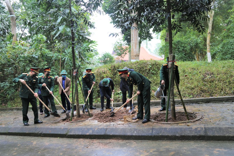 trong cay duc 3