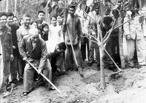 tet trong cay 1969