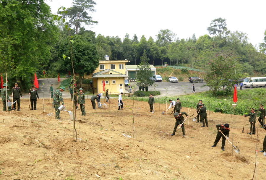 cuc dao tao trong cay 3