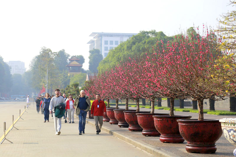 cham dao tai phu thuong 2