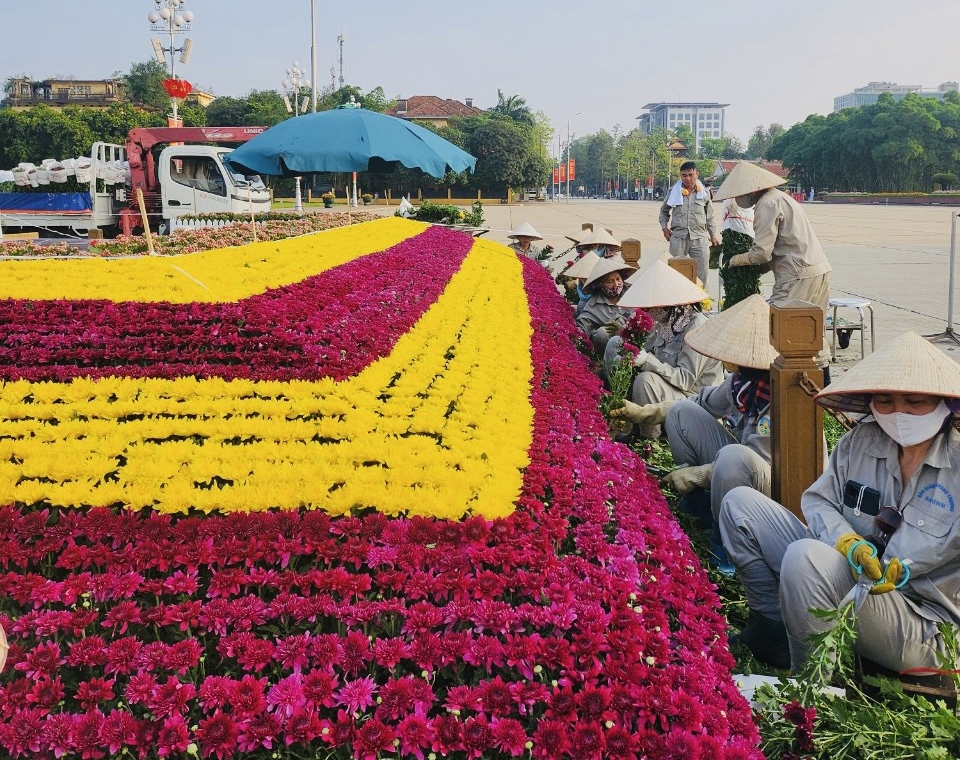 trang hoa hoa