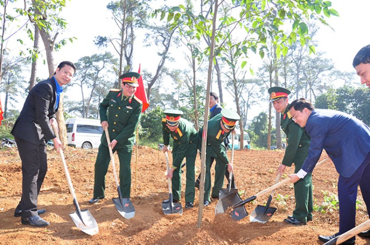 Thang thanh nien trong cay 2