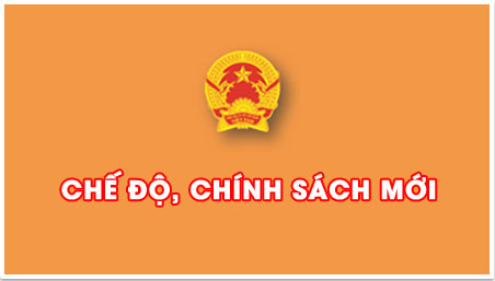 chinh sach moi