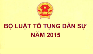 to tung dan su