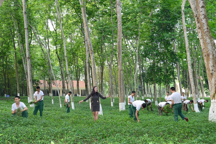 so van hoa ha noi 2018 2