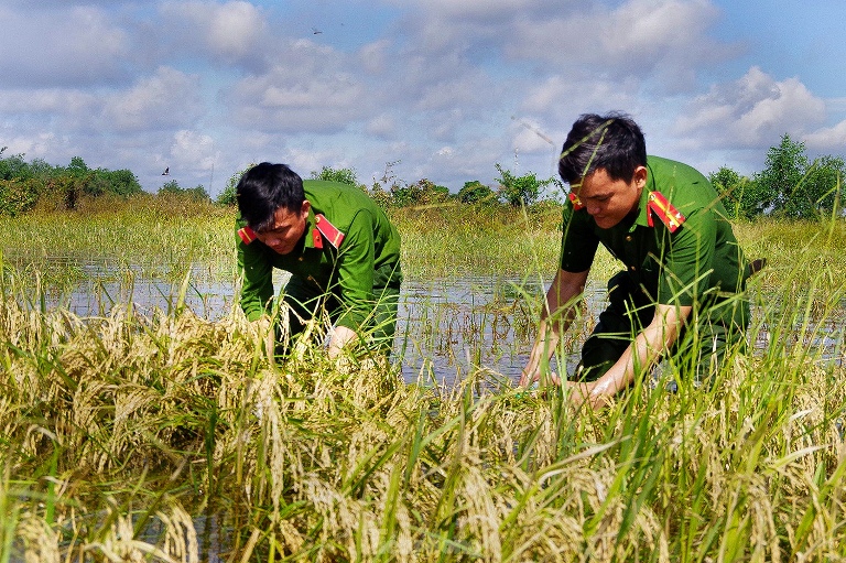 suc manh nhan dan 2