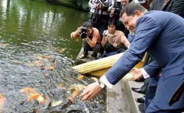 8.8.Tong thong Venezuela cho cá trong ao ca BH an