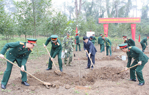 tet-trong-cay-bqllang.gov.vn